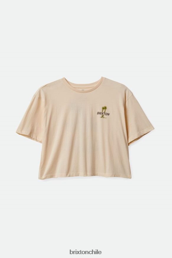 Brixton mujer camiseta austin s/s skimmer P0BX28440 vestir gorra blanca