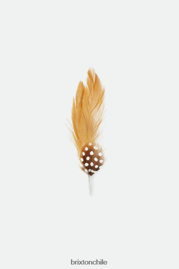 Brixton unisexo brad universal sombrero de plumas P0BX28361 accesorios marrón
