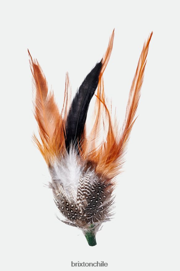 Brixton unisexo kevin sombrero de plumas P0BX28352 accesorios multi