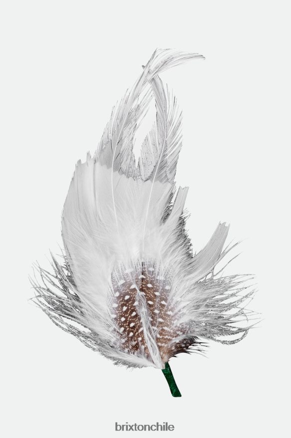 Brixton unisexo robert sombrero pluma P0BX28351 accesorios multi